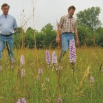 Agrarisch natuur- en landschapsbeheer, subsidies, Staring Advies