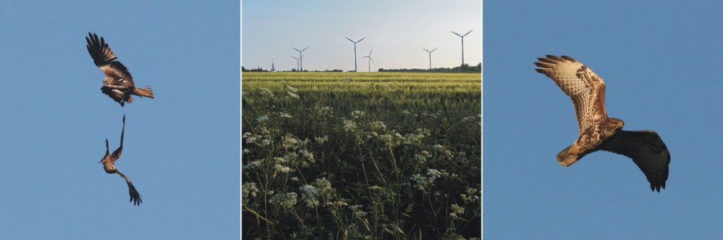 Ampelbewertung Planungsrelevanten Arten, FFH, Natura 2000, Windenergie