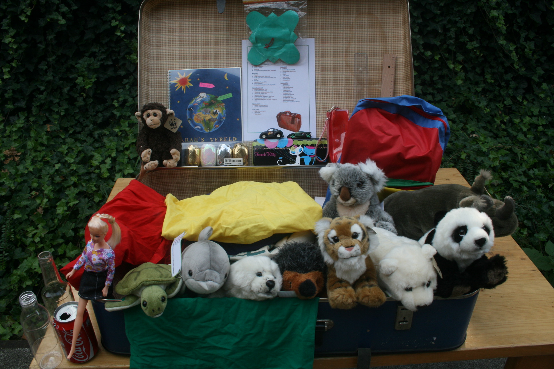leskist sarah's wereld groep 7 en 8 leuk