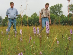 Agrarisch natuur- en landschapsbeheer, subsidies, Staring Advies