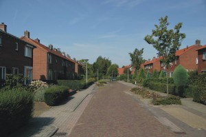 Gierzwaluw, jaarrond beschermd, natuurwetgeving