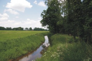 Waterspitsmuis, muizenonderzoek, aanvullend onderzoek